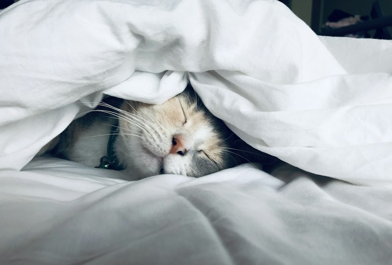 Hábitos pequeños que pueden mantenerse